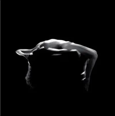 Cherche longtemps sa forme et n'y retrace (... )