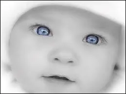 A quelle espce animale appartient cet adorable petit bout ?