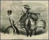 - une branche de feuillage pour (... ) d'elle les moucherons ;