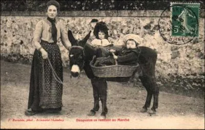 - un (... ) pour le cheval faiblement sanglé, (... ) sur le dos de la monture,