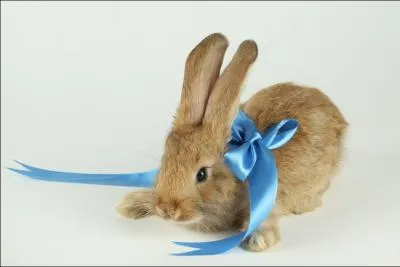 Quel est le vrai proverbe de la Chandeleur ?