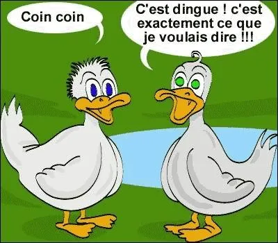 J'ai du (... ) pour mes dix canards.