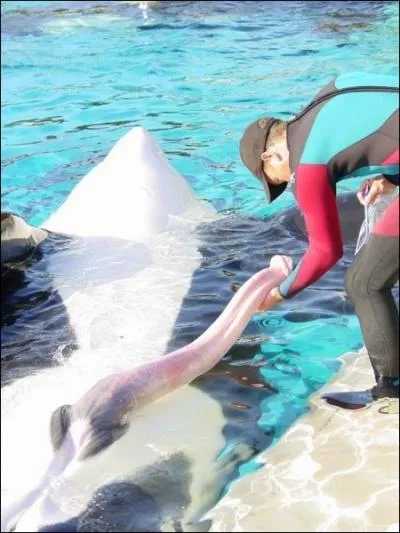 Grce  votre sens aigu de l'observation, vous allez rpondre sans faillir  cette question, quelle place tient l'homme dans l'univers ?