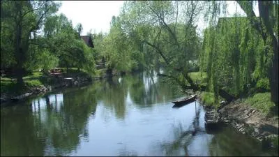 [Paysages] La/lesquel(s) de ces cours d'eau passent en Alsace ?