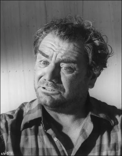 En 1965, il joue avec James Stewart et Richard Attenborough un rescap� du crash d'un avion en plein d�sert. Quel est ce film Robert Aldrich ?