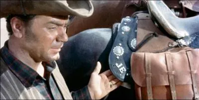 En 1954, dans quel film se fait-il casser la figure par Gary Cooper ? (Western de Robert Aldrich, avec �galement Burt Lancaster au casting)