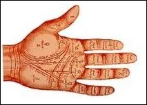 L'index reprsente l'aptitude au commandement, l'ambition, la sensualit, les penchants vers la religiosit; il est associ  :