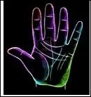 L'annulaire, rvle les dons artistiques, le sens critique, l'orgueil et l'intelligence. Il est associ  :