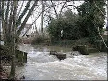 Dans quel fleuve se jette le Beuvron ?