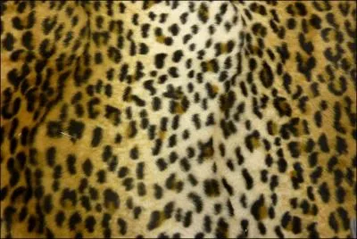 Ayant trouv les deux premires rponses, vous n'aurez aucun mal  identifier la troisime !