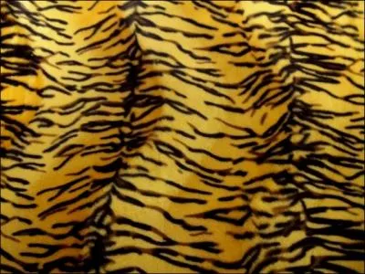 Et si on faisait un petit dtour par l'Asie, quel animal possde cette fourrure ?