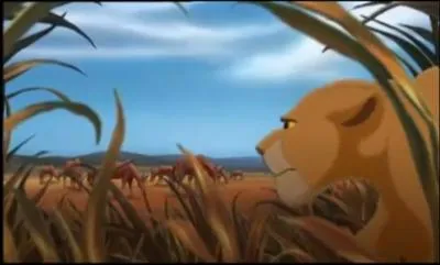 Combien de fois Kiara poursuit-elle des troupeaux ?