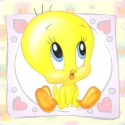 De quelles couleurs sont les yeux de Titi ?