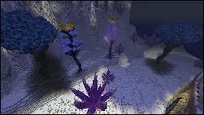 Laquelle utilise-t-on dans la magie blanche ?