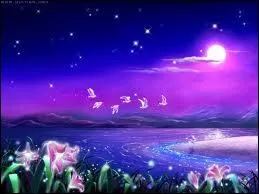 Encore une plante qui fait partie de la magie de l'amour (et je ne vous raconte pas des salades) :