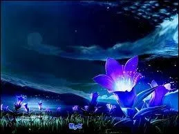  Nuit magique une histoire d'humour qui tourne  l'amour  sont les paroles d'une chanteuse toujours accompagne de son violon :