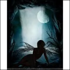 Qui chantait  Mais la dernire des fes cherche sa baguette magique, mon ami, le ruisseau dort dans une bouteille en plastique  dans sa chanson  Rpondez moi  ?