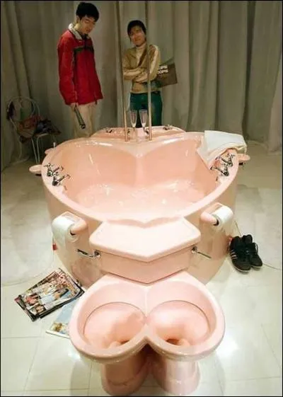 On reste sans voix, est-ce le comble de l'amour ou le comble du mauvais got ? voici les toilettes annexes  la baignoire et ?