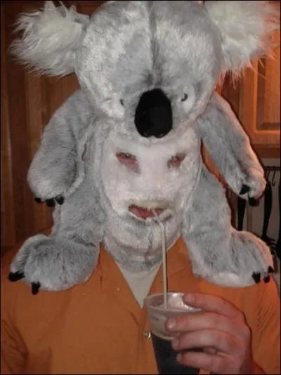 Si vous manquez d'ide pour un dguisement, pourquoi ne pas utiliser vos peluches d'enfance, comme sur la photo o il s'agit... ?