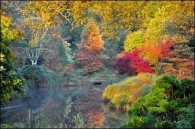 Dans le jardin du Soleil levant, votre pensée s'élèvera à la seule contemplation de ces oeuvres d'art sculptées en forme de nuage. Oui, mais dans quel lieu enchanteur vous promenez-vous ?