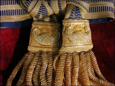 Le père de Victor Hugo fut un militaire gradé ayant participé à de nombreux faits d'armes durant les guerres napoléoniennes. D'abord colonel en 1803, il est nommé ...