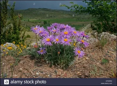 Quand le vocabulaire sportif s'enrichit ! Vous m'avez donné rendez-vous dans les gorges du Tarn. Que vais-je vous répondre ?