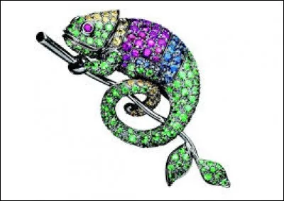 Vous pourrez aller flâner, chercher et peut-être trouver tout objet insolite lors d'une prochaine brocante à Caméléon-City dès le mois de février prochain. Qui vous convie à des échanges ?