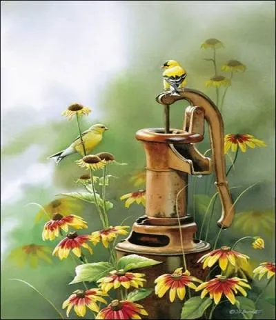 Elles appartiennent  la famille des composes et nous viennent d'Amrique Centrale. Elles semblent admirer les chardonnerets jaunes.