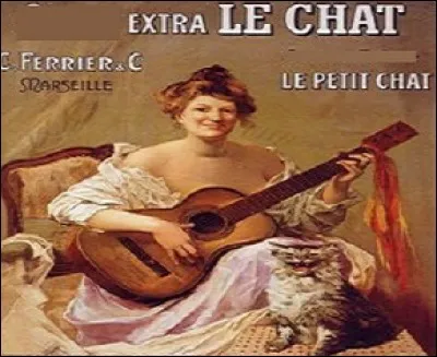 Pour quel produit d'hygiène ce chat fait-il la publicité ?