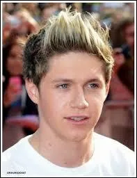 Qu'adore faire Niall ?