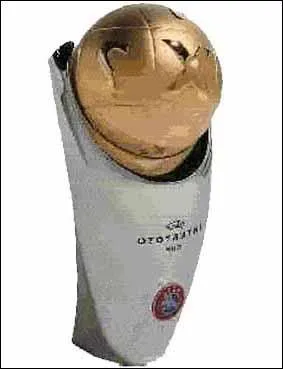 Quel est le nom de cette coupe ?