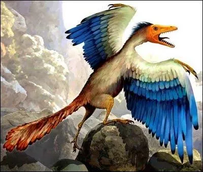 Le pouletosaure est-il un animal imaginaire (2013) ?