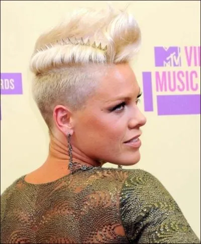 Je vous présente une chanteuse qui n'a pas peur de dire ce qu'elle pense. C'est sans doute...