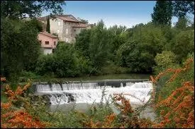 O se jette la Louge ?