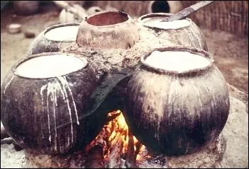 Le tchapalo est une sp�cialit� de l'Afrique de l'Ouest fabriqu�e � partir de c�r�ales. Sous quel autre nom est-il connu ?