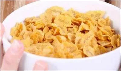 Ces flocons de mas reprsents par le tigre Tony sont...