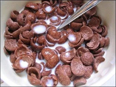 Reprsentes par le chien  Pico  ces crales ont pour slogan  C'est fort en chocolat !  . Ce sont...