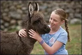 Comment s'appelle cet non ?