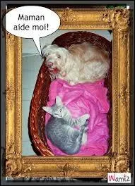 Le fait de s'introduire dans un groupe ou dans un lieu sans y tre invit, c'est tre ... . .