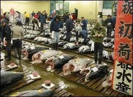 Quand quelque chose est illgal, dfendu c'est ... ...