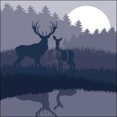 Que de fois, seul dans l'ombre  minuit (... ),