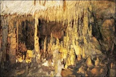 Comment se nomment les grottes ouvertes au public sur la commune de Chazelles, dcouvertes par une promeneuse et sa chienne Pastille qui poursuivait un renard ?