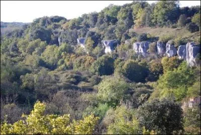 Quel est le nom de cette pittoresque valle situe au sud d'Angoulme o l'on peut s'initier  l'escalade ?