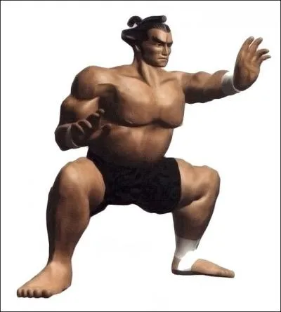 Quel est le nom de ce sumo ?