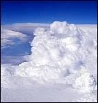 Si l'on est bless par une flche empoisonne, l'important est d'abord de la retirer, ce n'est pas le moment de s'interroger d'o elle vient, qui l'a tire, de quel poison s'agit-il - c'est de ?