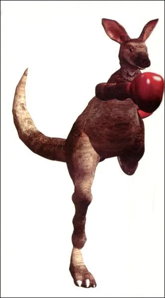 Quel est le nom de ce kangourou ?