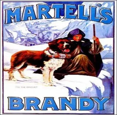 Que contient la petite bouteille que le saint-bernard porte attachée sous son cou ?