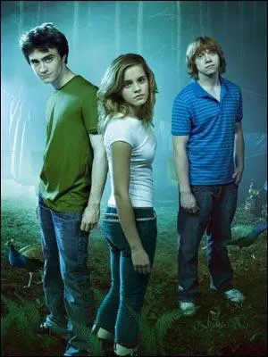 Qui a dit :   Barty ! Ce ne sont que des enfants !   ?