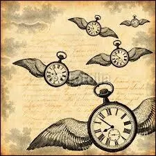 Qui chantait  Mme en volant, je n'aurais pas le temps, pas le temps  ?