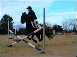 Ce cheval saute : (prcisment)